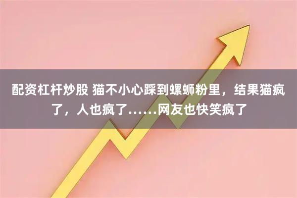 配资杠杆炒股 猫不小心踩到螺蛳粉里，结果猫疯了，人也疯了……网友也快笑疯了