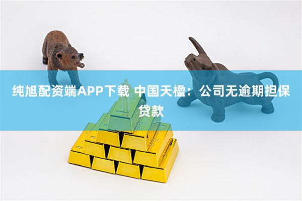 纯旭配资端APP下载 中国天楹：公司无逾期担保贷款